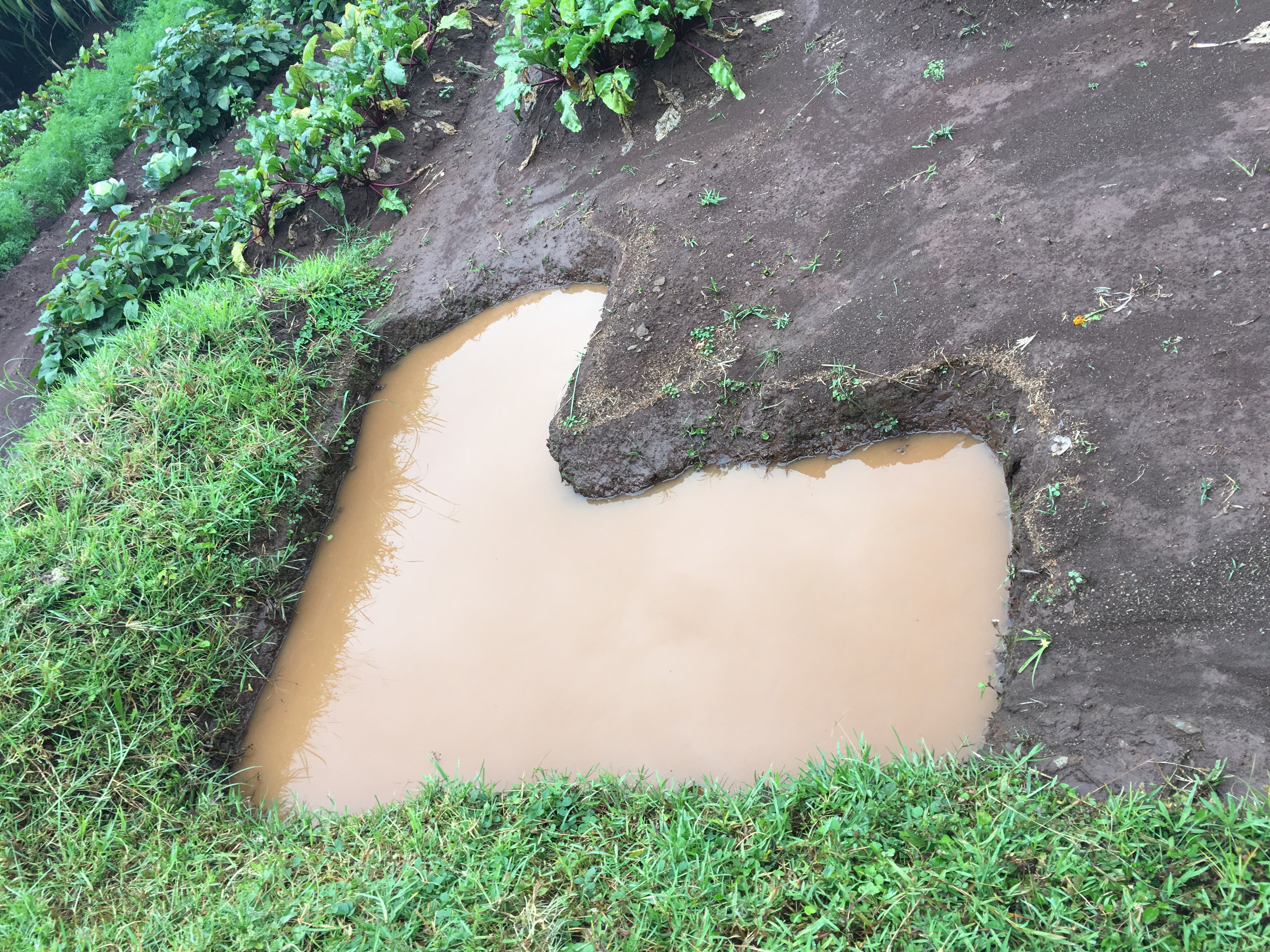 Einfache aber wirksame Massnahme gegen Bodenerosion auf dem Feld